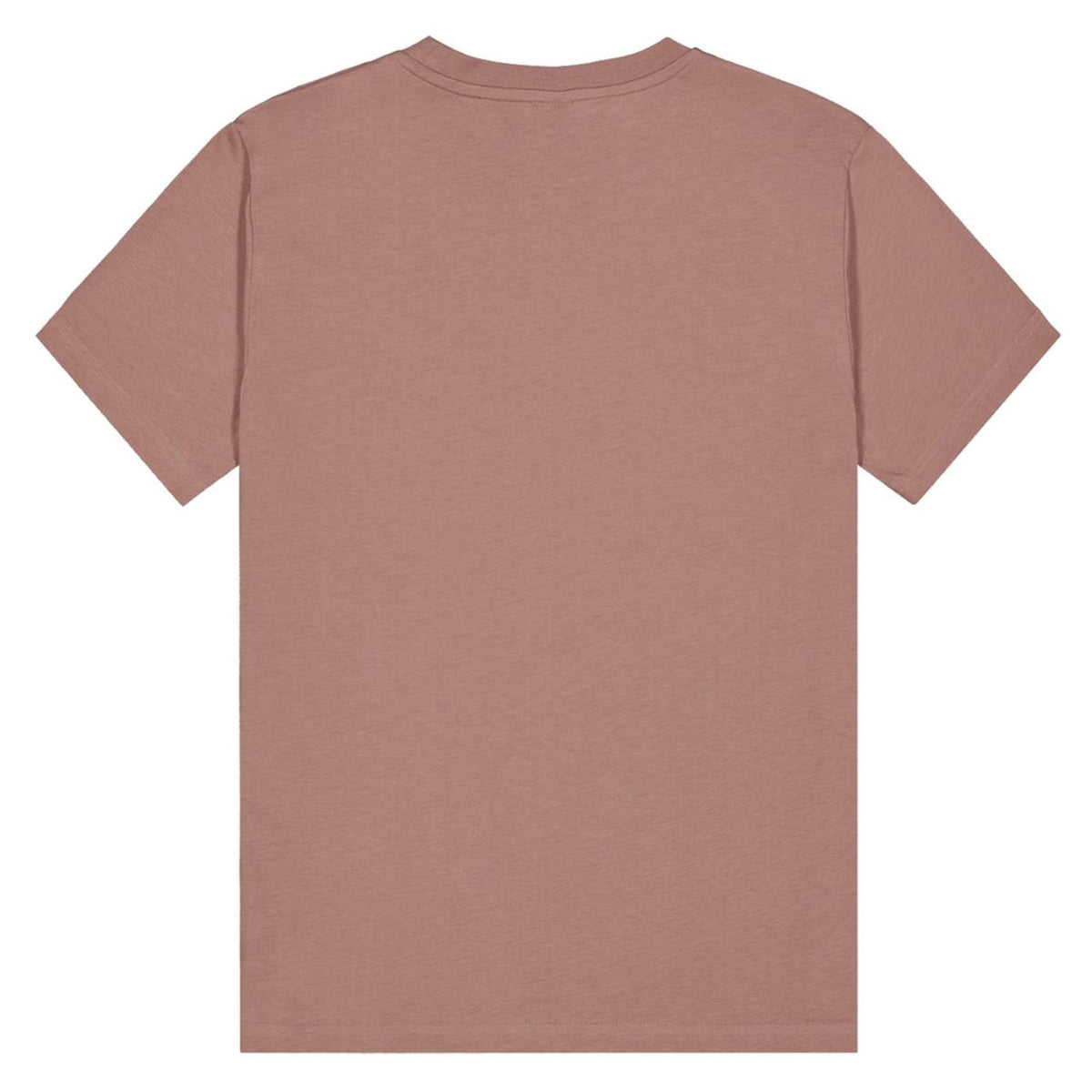 PICTURE BASEMENT WEALTH TEE - seconda immagine