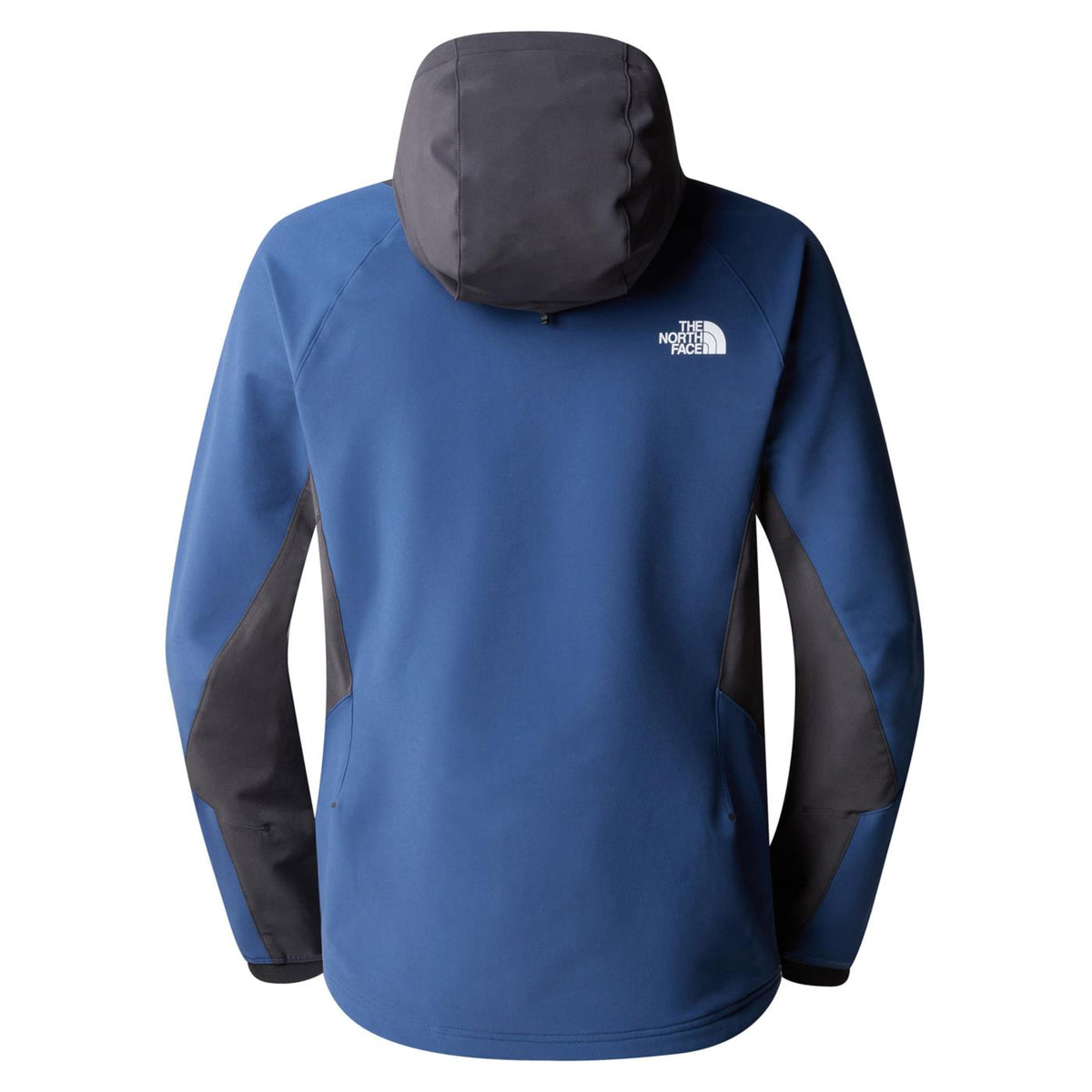 THE NORTH FACE AO SOFTSHELL HOODIE - seconda immagine