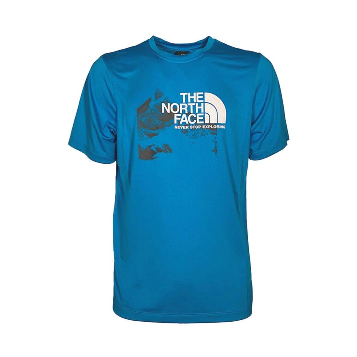 THE NORTH FACE NEW ODLES TECH TEE