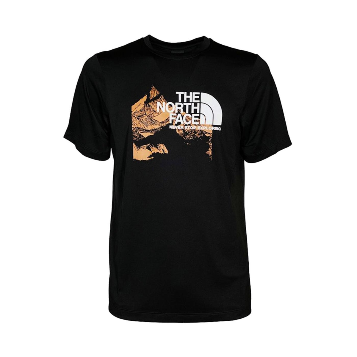 THE NORTH FACE NEW ODLES TECH TEE