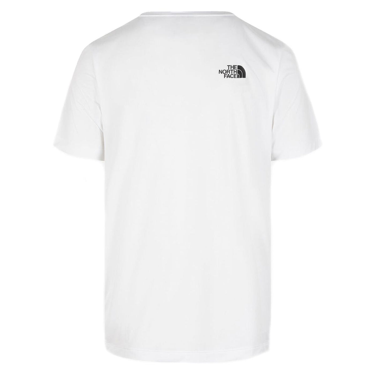 THE NORTH FACE NEW ODLES TECH TEE