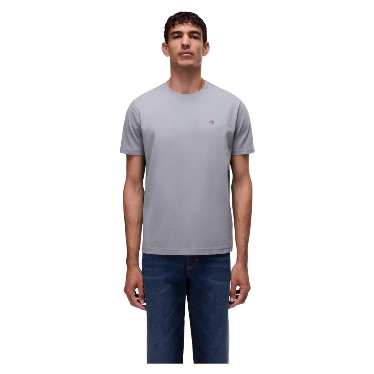 NAPAPIJRI T-SHIRT SALIS SS SUM - C1-grigio-c - immagine principale