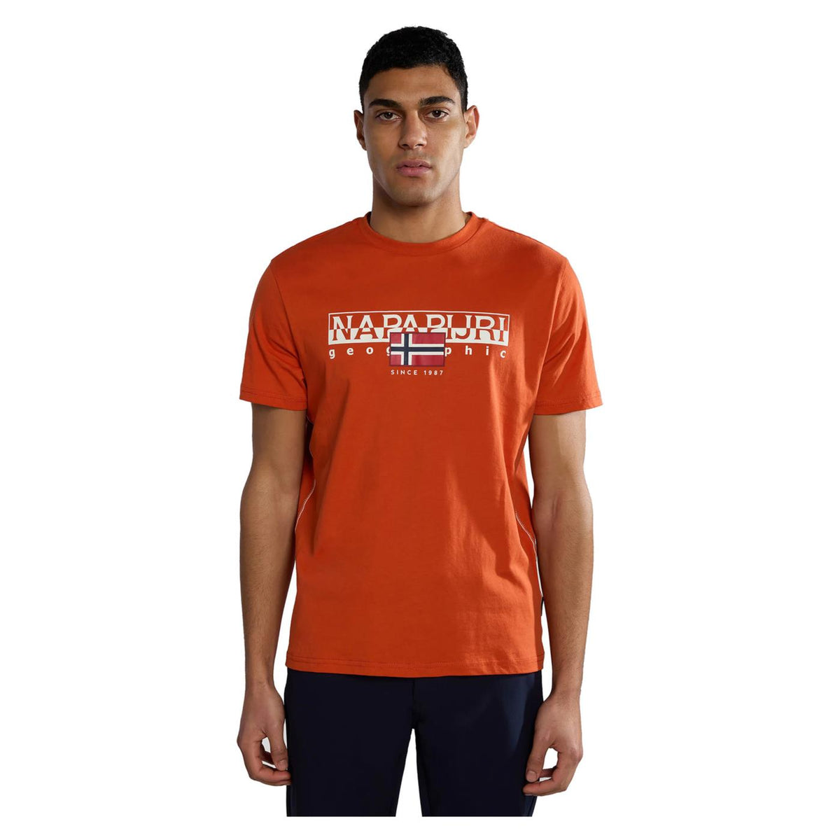 NAPAPIJRI S-AYLMER SS CREW TEE - seconda immagine