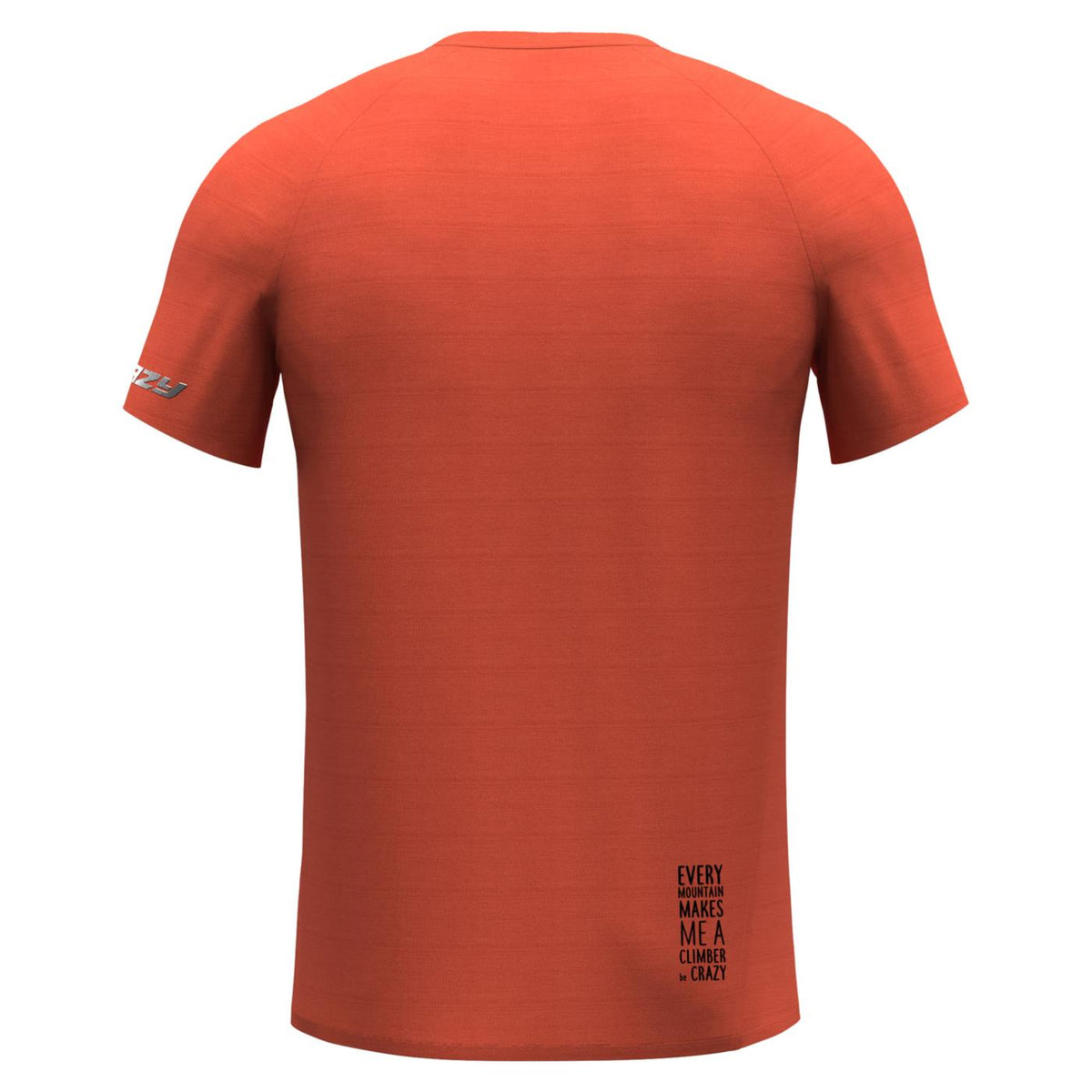 CRAZY IDEA SHIRT LOGO - seconda immagine