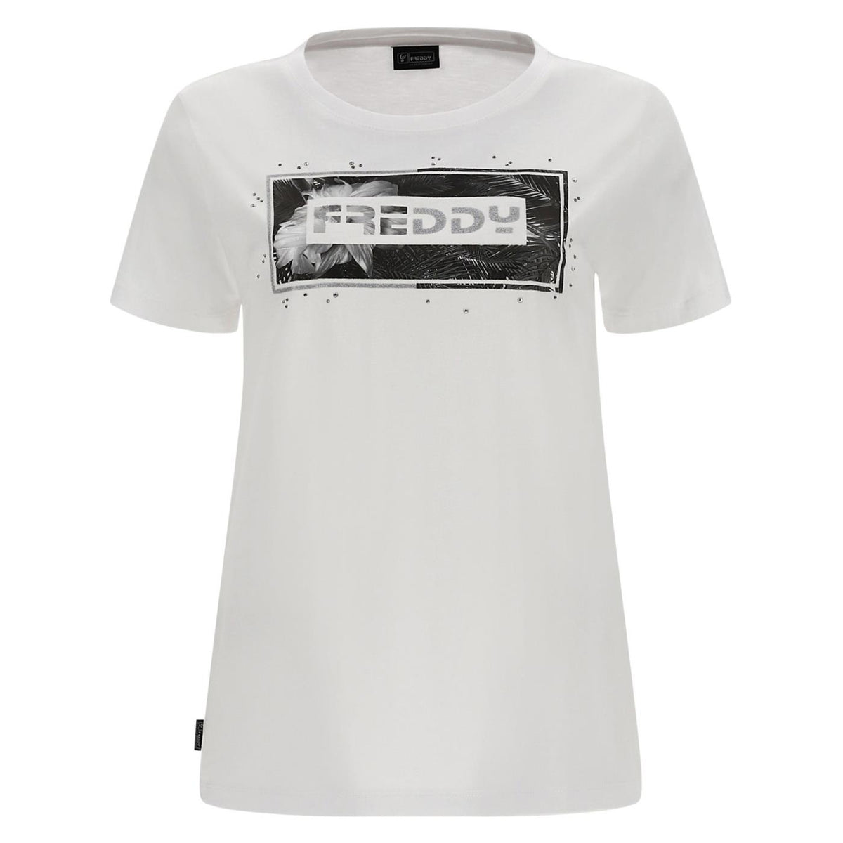 FREDDY MAGLIA MANICA CORTA