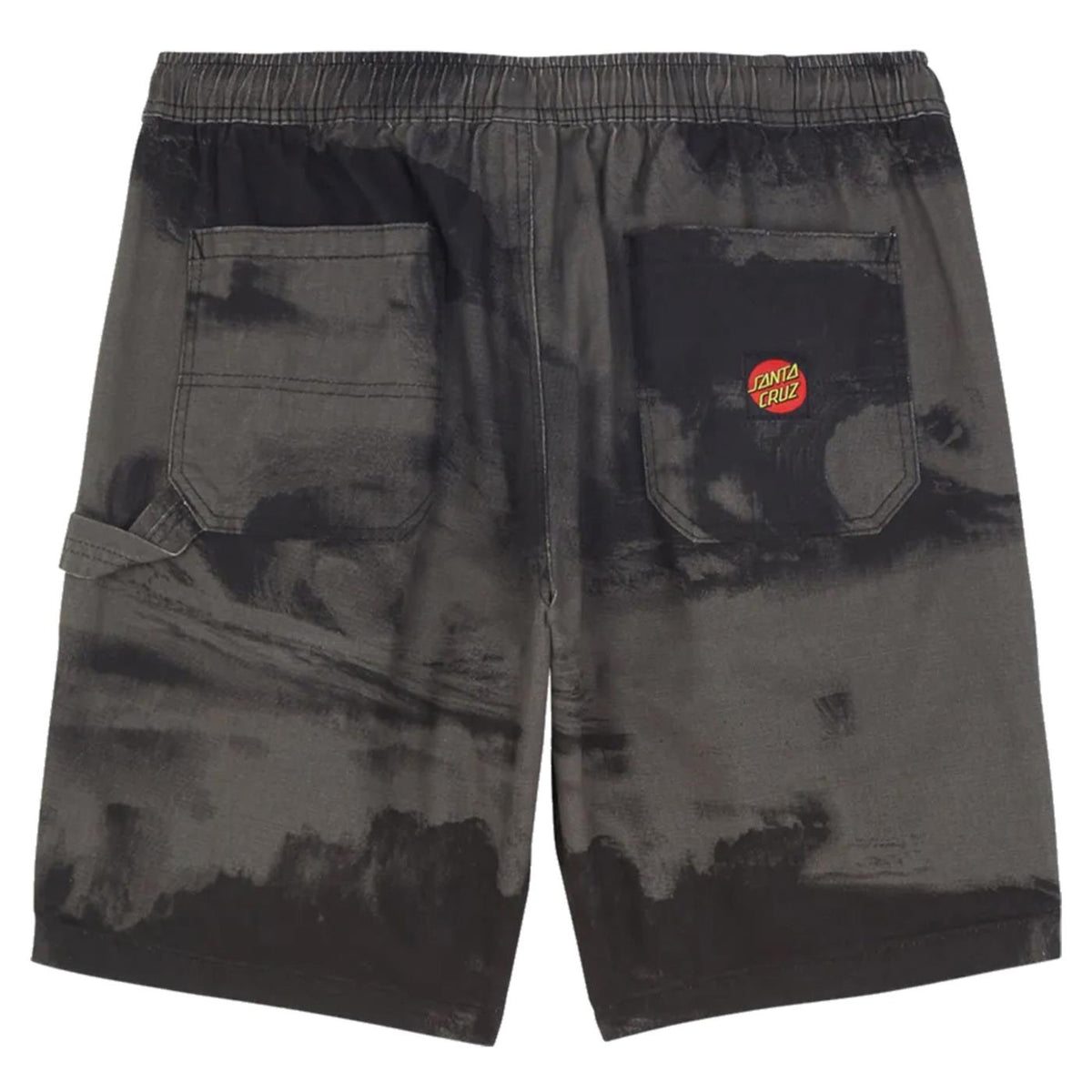 SANTA CRUZ PAINTERS SHORT - seconda immagine