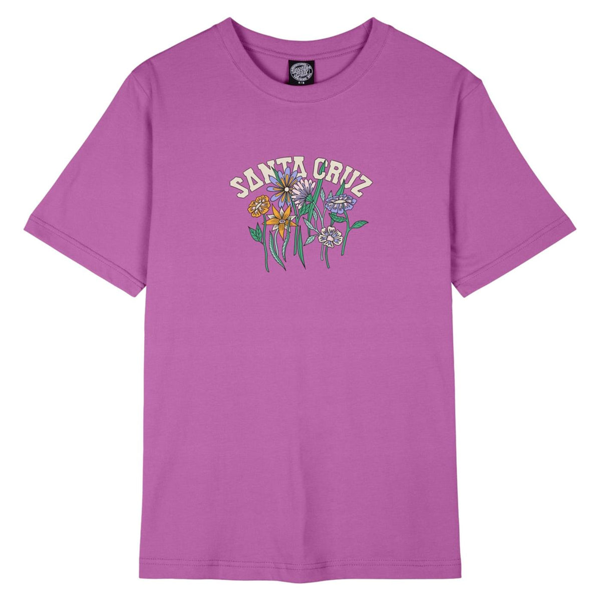 SANTA CRUZ FIELD STRIP T-SHIRT
