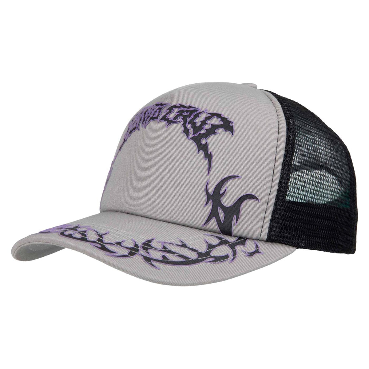 SANTA CRUZ OUT OF TIME TRIBAL CAP - Grigio chiaro - immagine principale