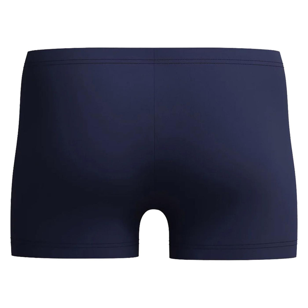 SPEEDO MEDLEY LOGO AQUASHORT - seconda immagine