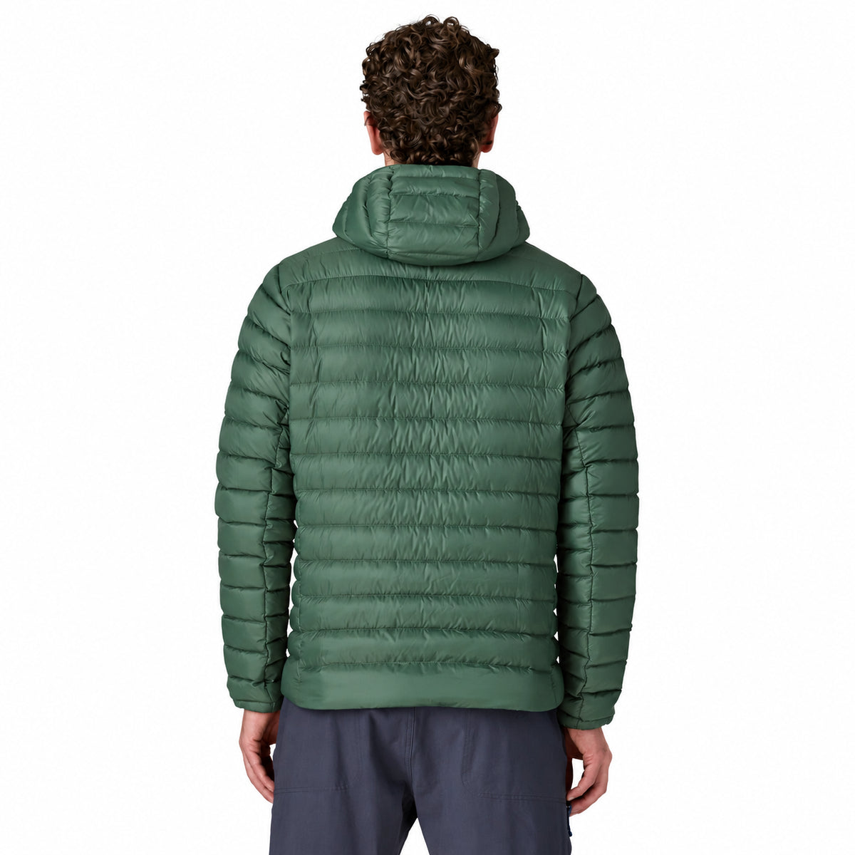 PATAGONIA DOWN SWEATER HOODY JACKET - seconda immagine